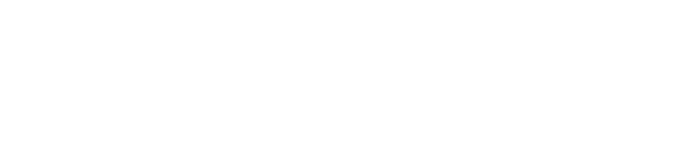 WannaSEO